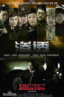 美女视频黄频A免费高清不卡
